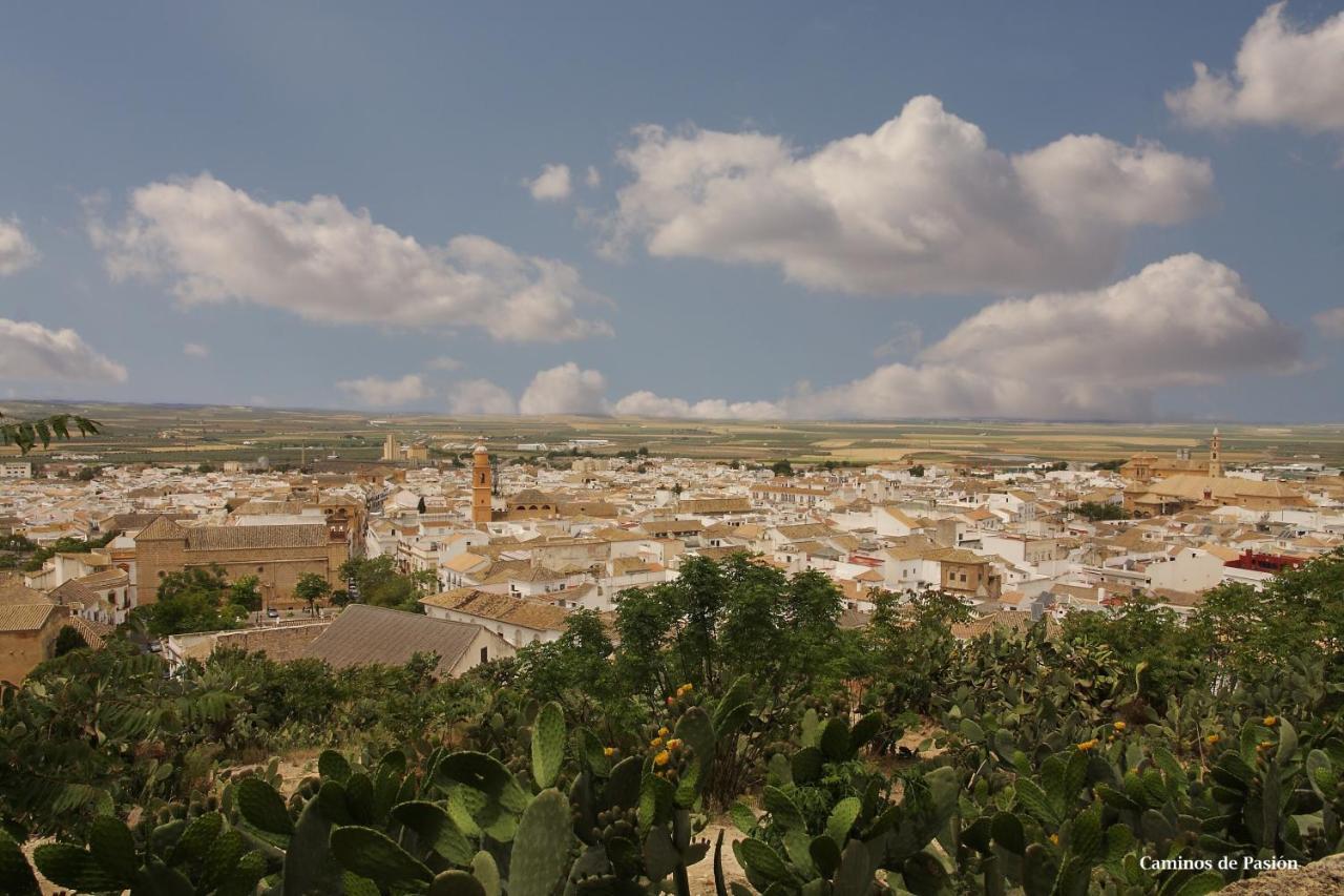 Hotel El Molino Osuna Bagian luar foto