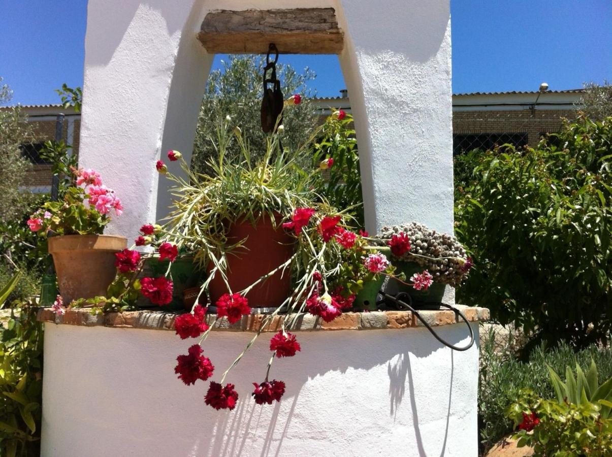 Hotel El Molino Osuna Bagian luar foto